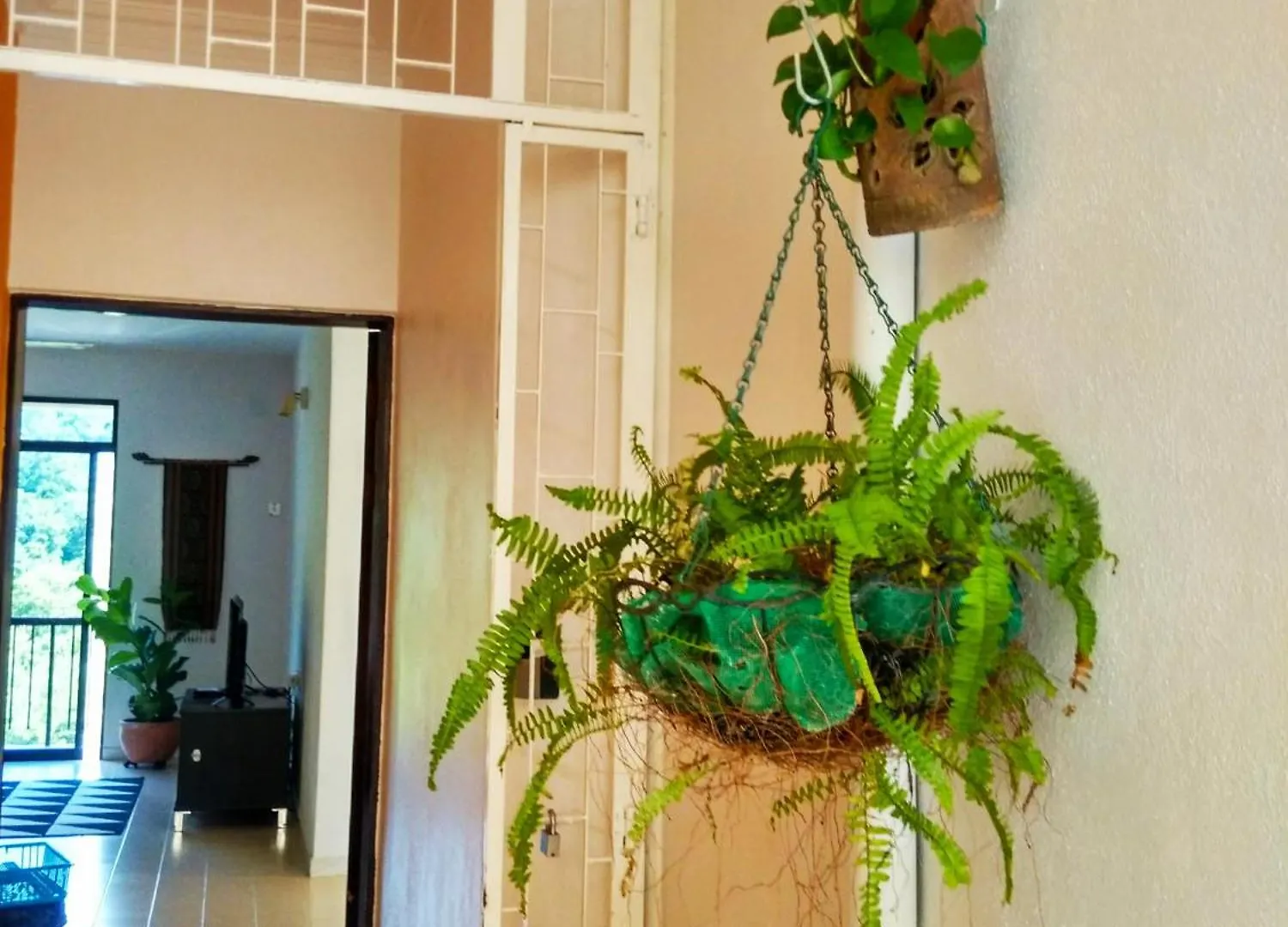 Cozy & Comfy 3 Rooms Apartment Near Beach Batu Feringgi 0*,